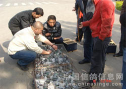 ����ʡ�ĵ�����ױ����ؼ���