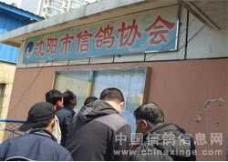 ������Э300�������Բ������(ͼ)