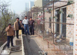 ����������һ���η�֣��