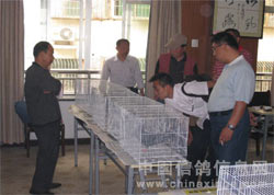 ���������Ÿ����ĸ��Ӱ������ι�(ͼ)