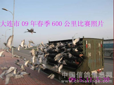 ������09����600��������ֳ�����