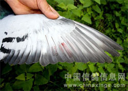 �пᣡ�ĸ�����ʵ��Ŀ