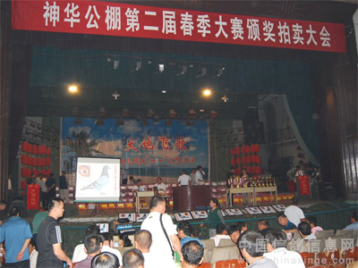 ������2009�������ʵ¼