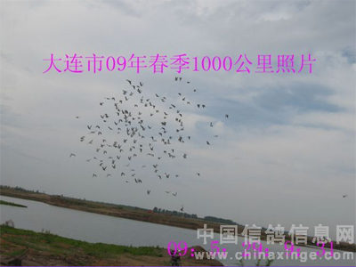 ������09�괺��1000����(�绯վ)������Ƭ