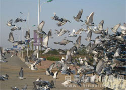 ����������·���500����