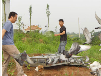 ����ʹ����2009�괺��1000�������ͼƬ