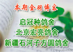 ���ڽ���