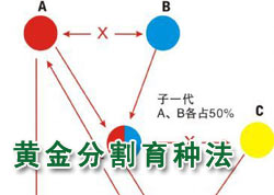 �����ᴿ��ʽ��