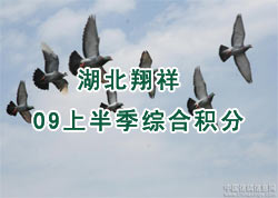 ��������������ֲ�09�ϰ뼾�ۺϻ���