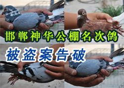 �����񻪹������θ뱻�����ƻ� �ӷ�ͨ����(ͼ)