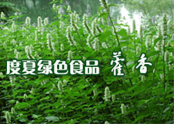 ������ɫʳƷ�� ޽��