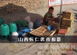 ɽ�����ʸ�����Ӱ