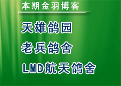 ���ڽ��𲩿�