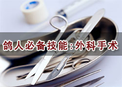 ���˱ر����ܣ��������