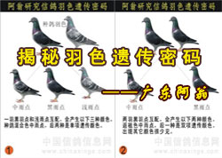 �Ÿ���ɫ�Ŵ�����