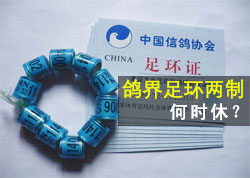 ��硰�㻷���ơ���ʱ�ݣ�