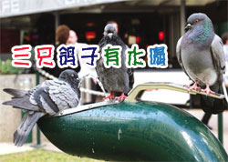 ��ֻ������ˮ��