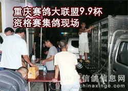 �������������9.9���ʸ�������(ͼ)