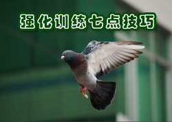 ǿ��ѵ���ߵ㼼��