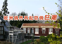 ŷ�޸�������Ը��(ͼ)