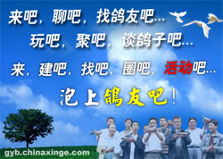 �����������Ѱɡ���2009��8��26��ȫ�¸İ��Ƴ���