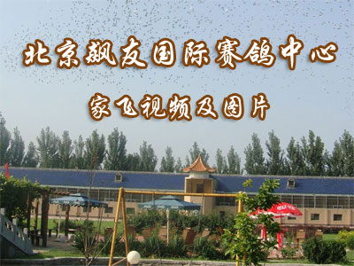 ������ѹ��ʹ���ҷ���Ƶ��ͼƬ