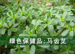 ��ɫ����Ʒ��������