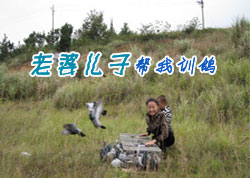 ���Ŷ��Ӱ���ѵ��