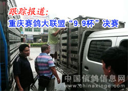 ������������ˡ�9.9��������ʵ��