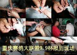 ������������ˡ�9.9���������ֳ�