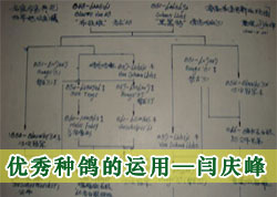 �����ָ������(ͼ)