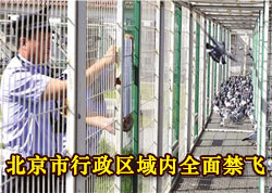 ����������������ȫ�����