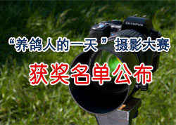 ������2009�ꡰ�����˵�һ�족��Ӱ����������