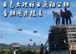�������Ʒ��蹫�����ͼƬ����