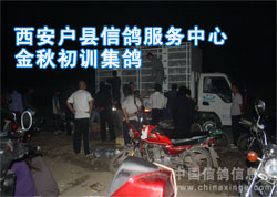 ���������Ÿ�������Ľ����ѵ