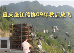 ����潭��Э09����ѵ�ŷɱ���