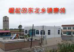 ����Ķ�����������