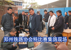 ֣����·Э���ر��������ֳ�