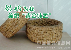 ����֯���Ͻ��ۡ�(ͼ)