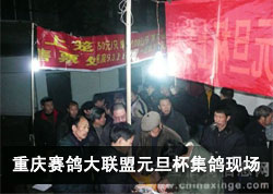 �������������09Ԫ���������ֳ�