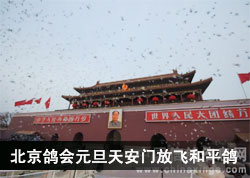 �����и��Ԫ���찲�ŷŷɺ�ƽ��