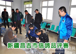 �½��������Ÿ�Ʒ����ȫ��