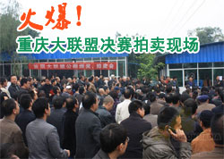 ��������˾��������ֳ���