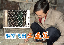 ª�ҷɳ�������(ͼ)