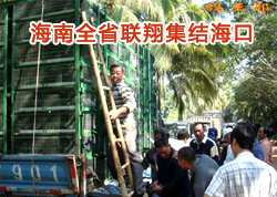 ����ʡ��Эȫʡ���輯�ả��(ͼ)