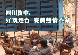 �Ĵ����к�Ϸ��̨ �������鲻��