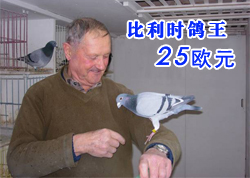 25ŷԪ�ı���ʱ����(ͼ)