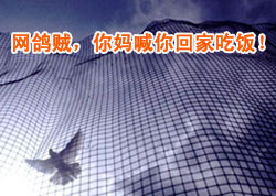 �����������躰��ؼҳԷ���