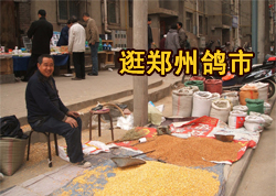 ��֣�ݸ����и�(ͼ)