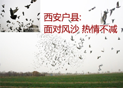 �������أ���Է�ɳ ���鲻��(ͼ)